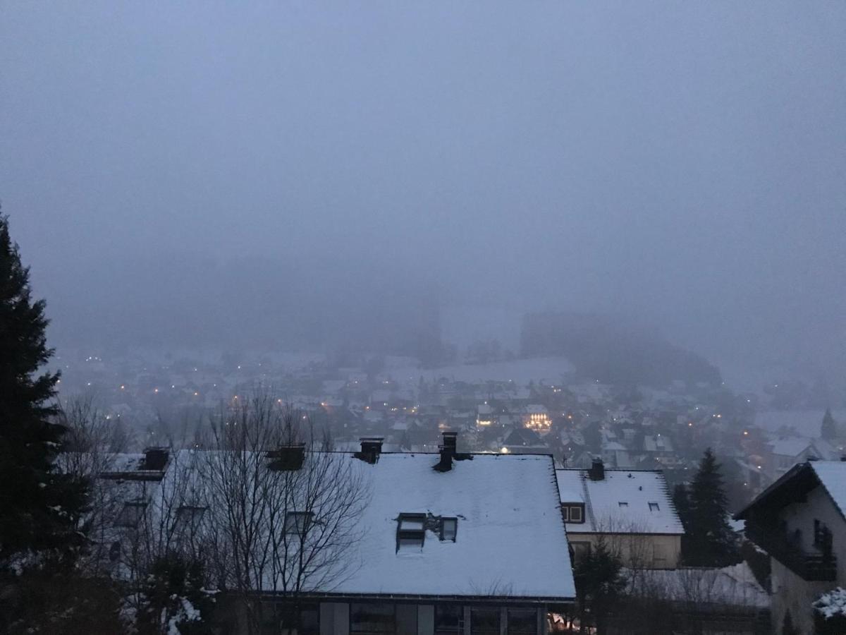 Appartement Familie Willems Winterberg 2 Exteriör bild