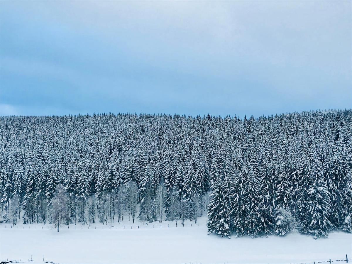 Appartement Familie Willems Winterberg 2 Exteriör bild